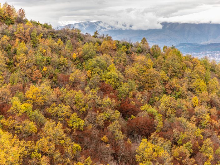 Autumn Colors of Vodno